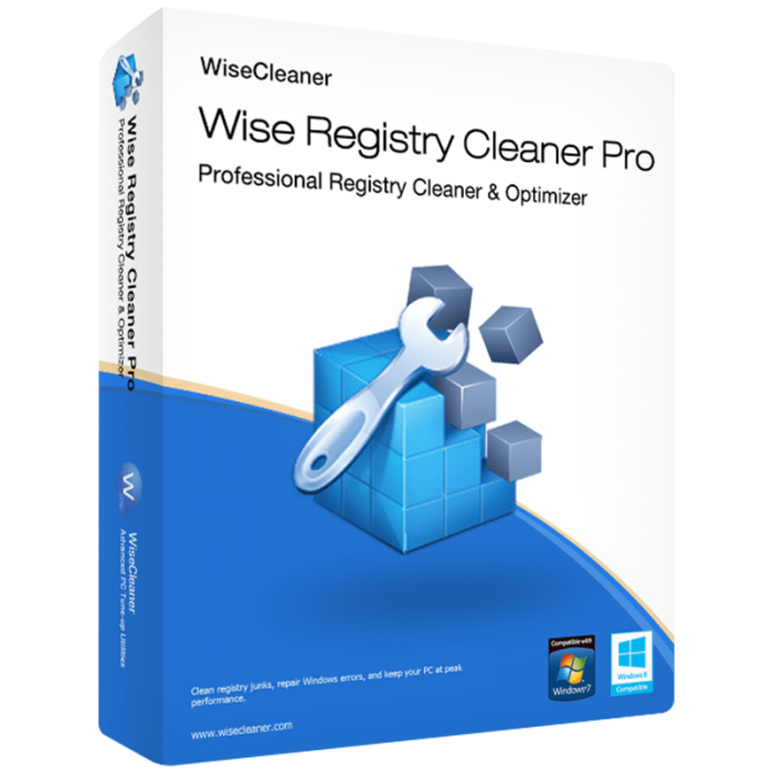 Wise Registry Cleaner Pro License Key