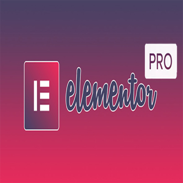 elementor pro license key